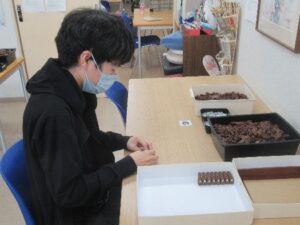 現場実習1
